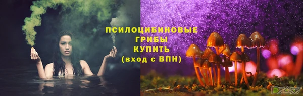 mdpv Волоколамск